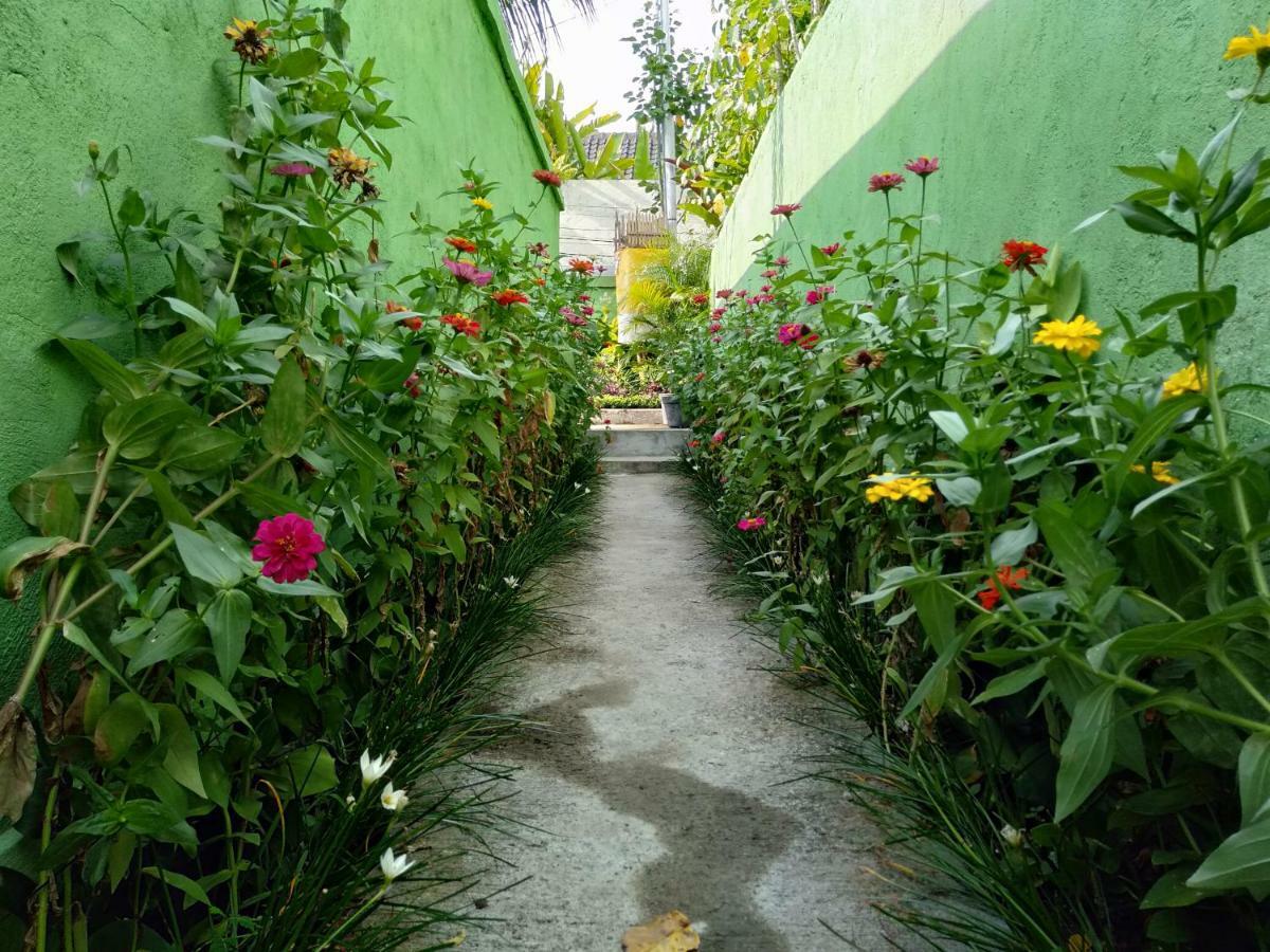 Rumah Mini Apartman Ubud Kültér fotó